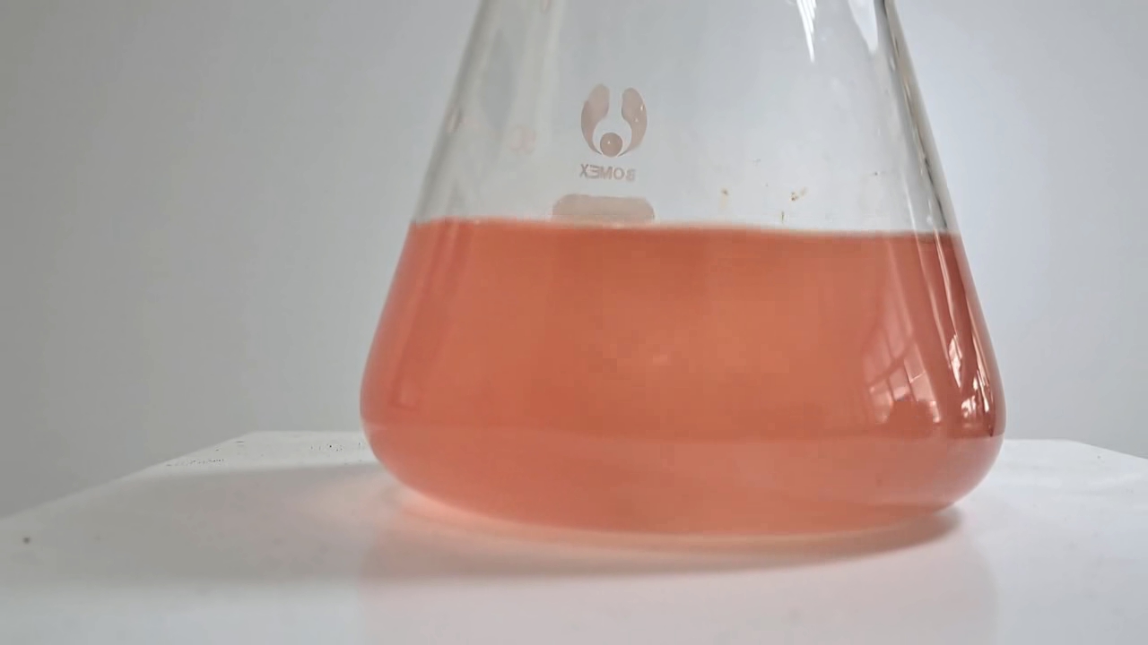 Hydrolysis of Ethyl Acetate