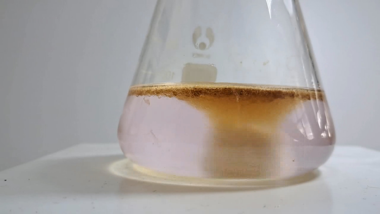 Hydrolysis of Ethyl Acetate