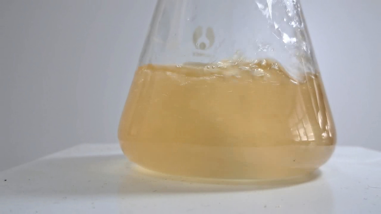Hydrolysis of Ethyl Acetate