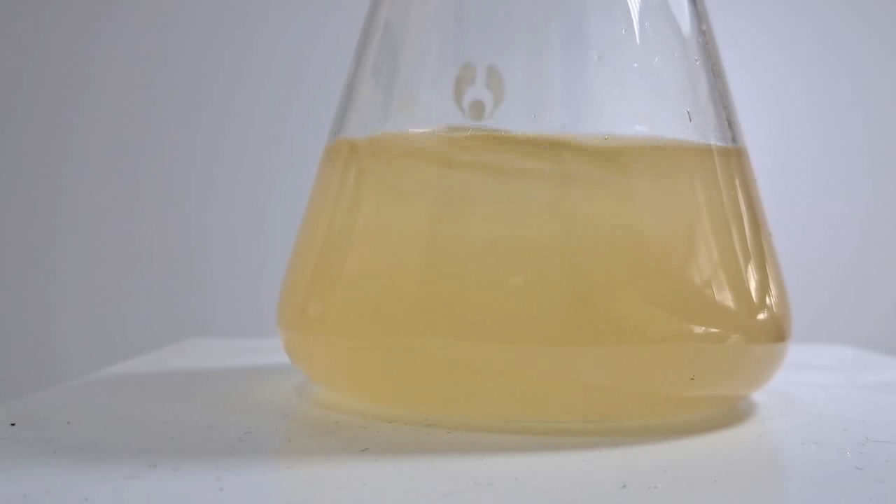 Hydrolysis of Ethyl Acetate