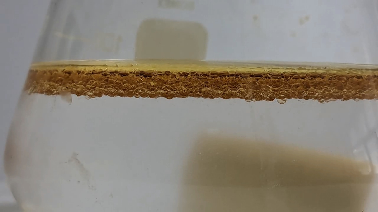 Hydrolysis of Ethyl Acetate
