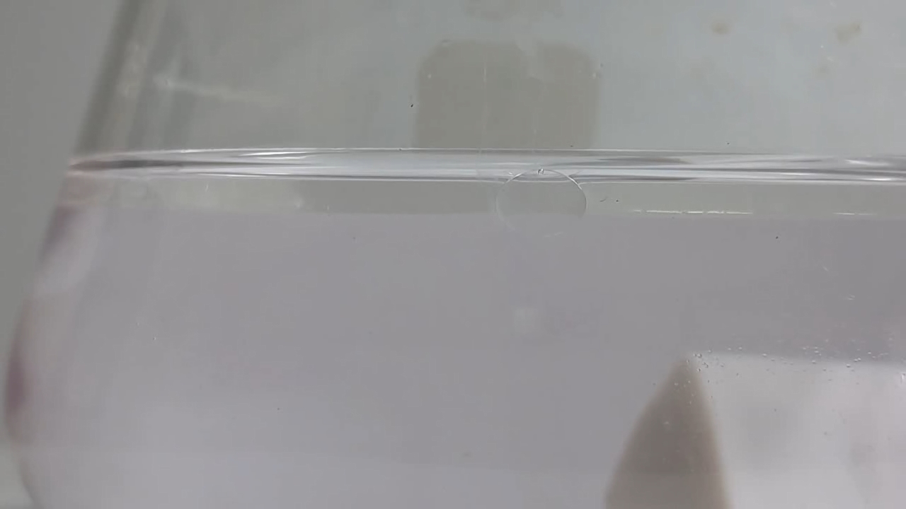 Hydrolysis of Ethyl Acetate