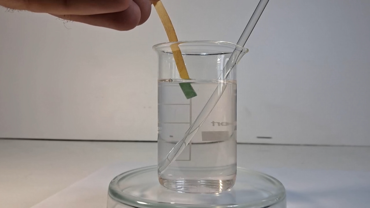 Methyl Acetate: Preliminary Experiment