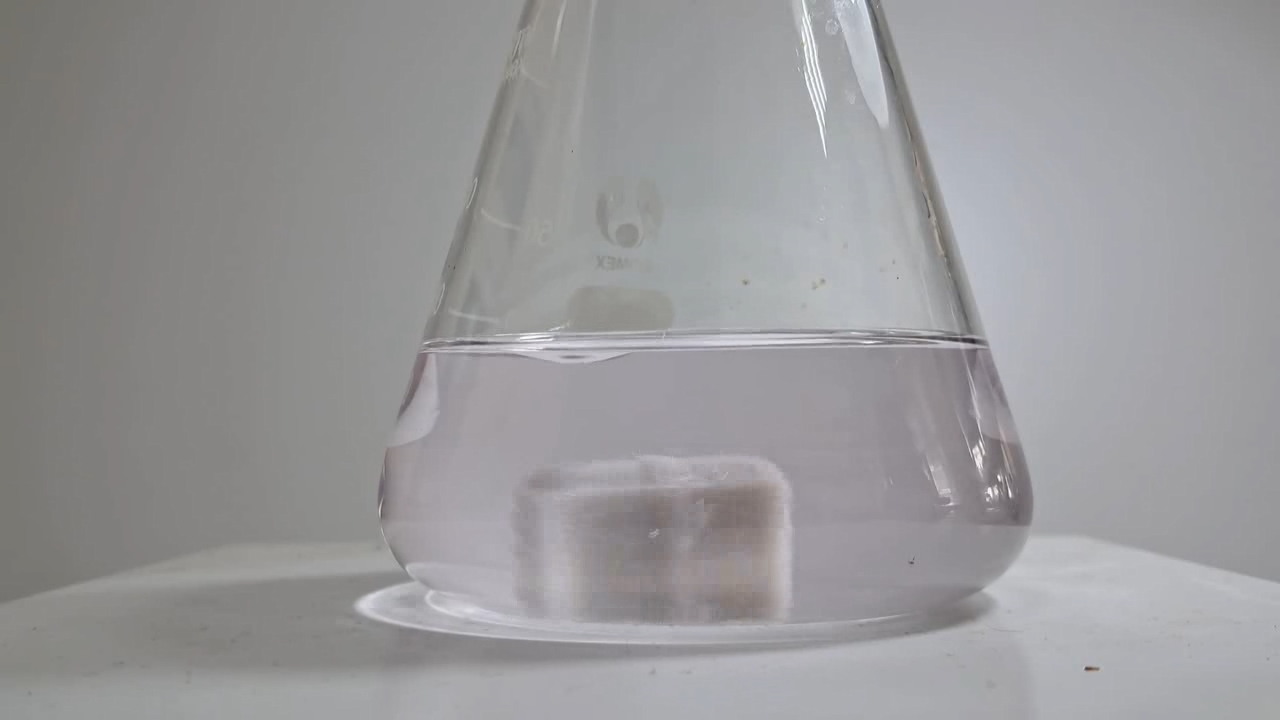 Hydrolysis of Methyl Acetate