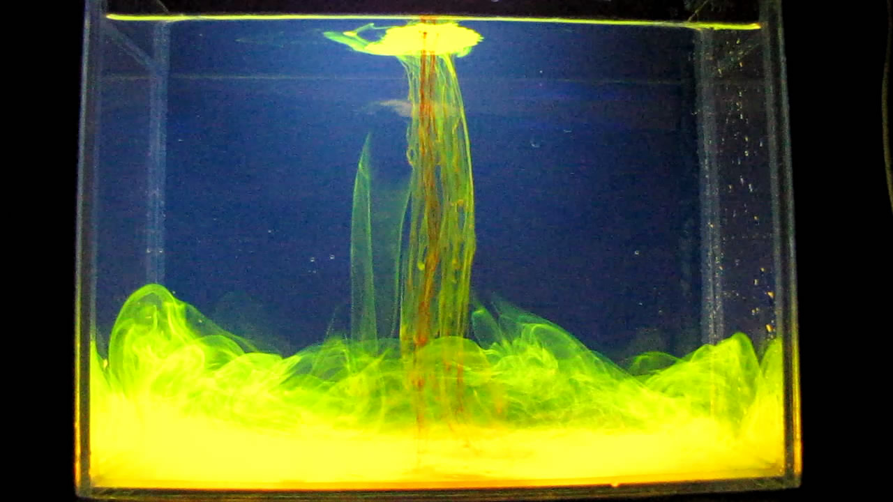 Eosin Powder in Water (under Ultraviolet Light).     (  )