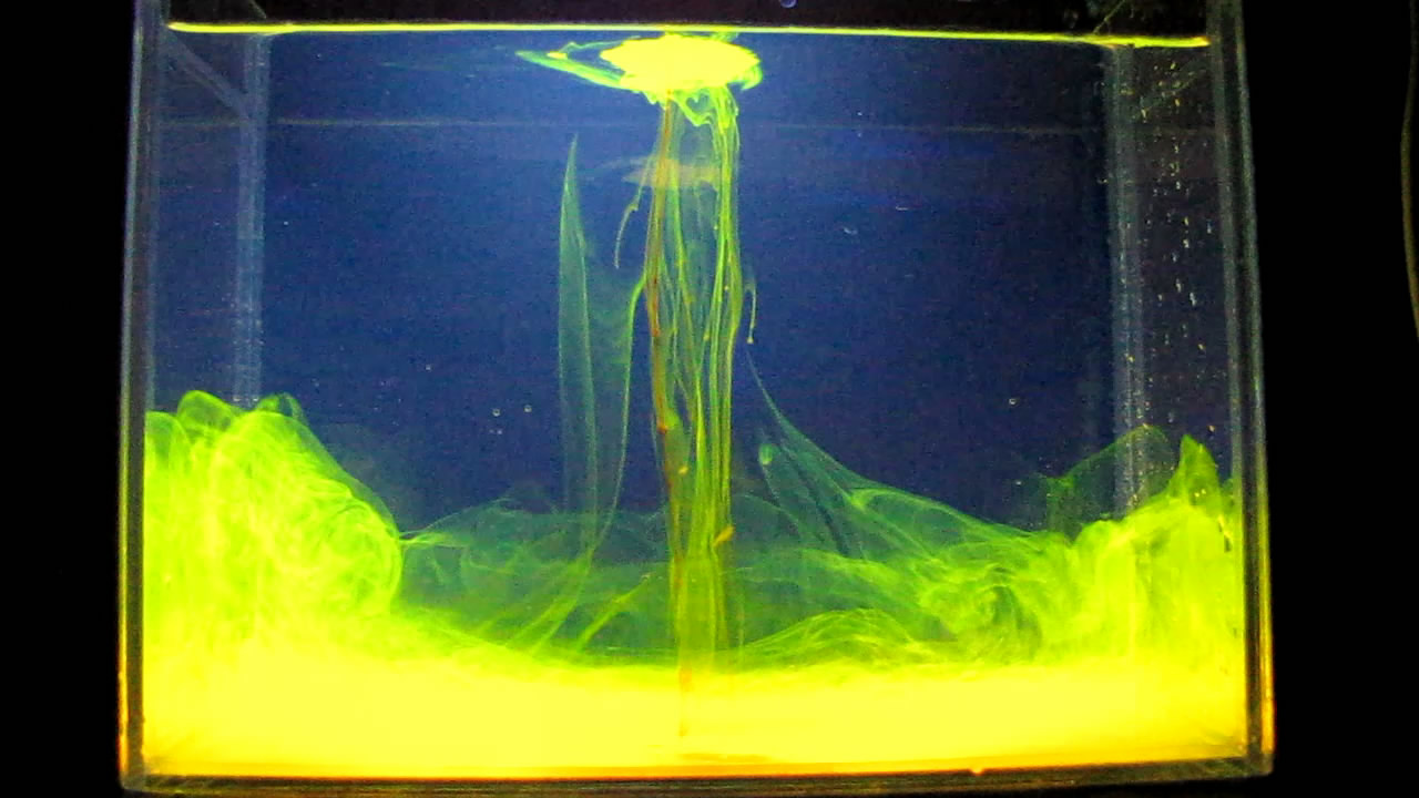 Eosin Powder in Water (under Ultraviolet Light).     (  )