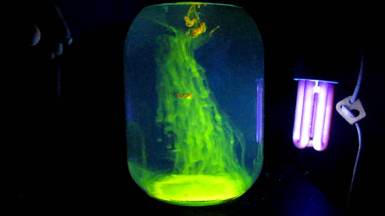 Eosin under Ultraviolet Light (Vortex Rings). Эозин в ультрафиолетовом свете (вихревые кольца)