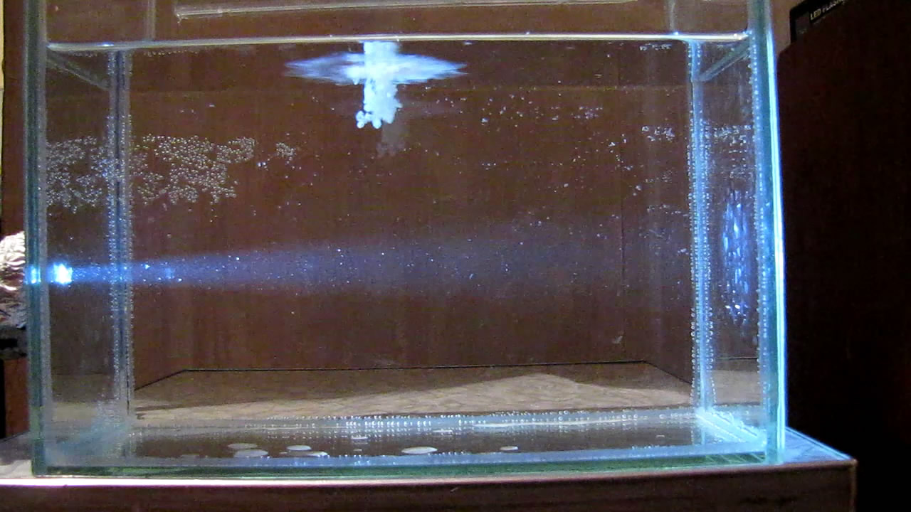 Tyndall Effect (Solution of Rosin in Ethanol was Added to Water).   (      )