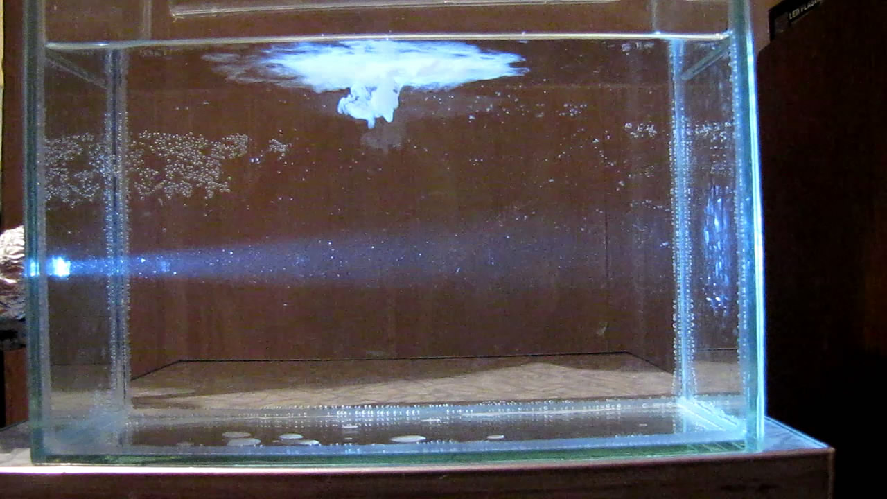 Tyndall Effect (Solution of Rosin in Ethanol was Added to Water).   (      )