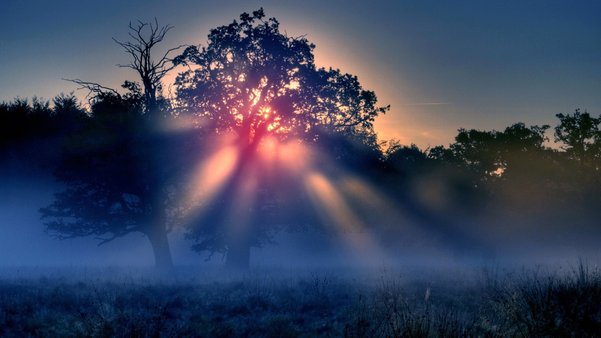  . Rays of the Sun in the fog