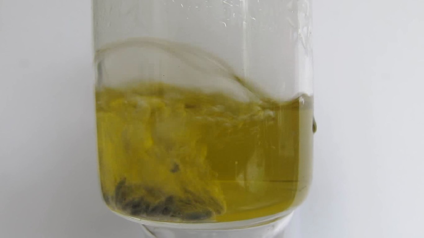         . Reduction of ammonium molybdate by zinc and hydrochloric acid