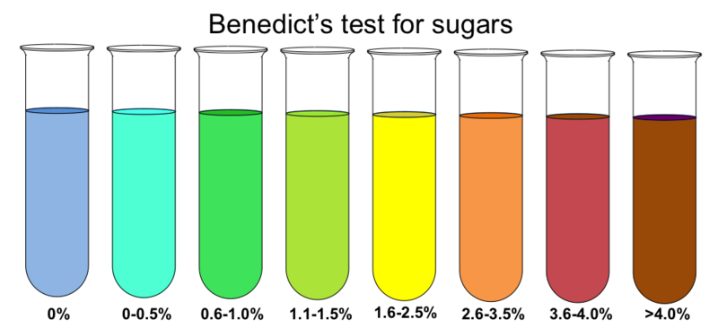  . Benedict's test