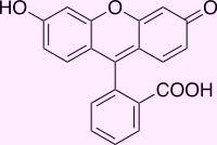 Взаимодействие с хлоридом железа (III) - качественная реакция на фенолы: флуоресцеин, эозин, фенолфталеин, ионол. Interaction with iron (III) chloride - qualitative reaction for determination of phenols: fluorescein, eosin, phenolphthalein, butylated hydroxytoluene