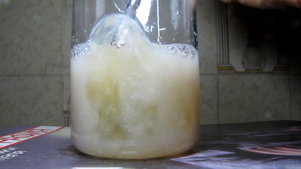 Галловая кислота и яичный белок. Gallic acid and egg white