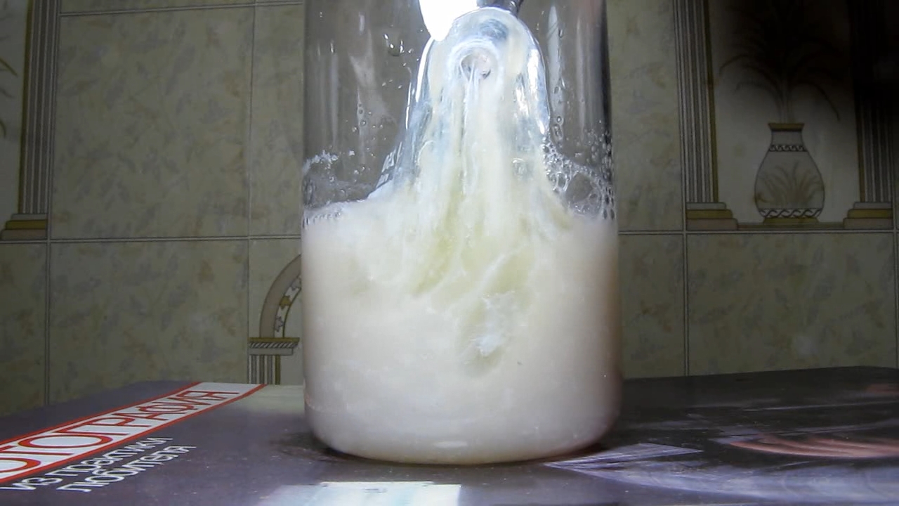 Галловая кислота и яичный белок. Gallic acid and egg white