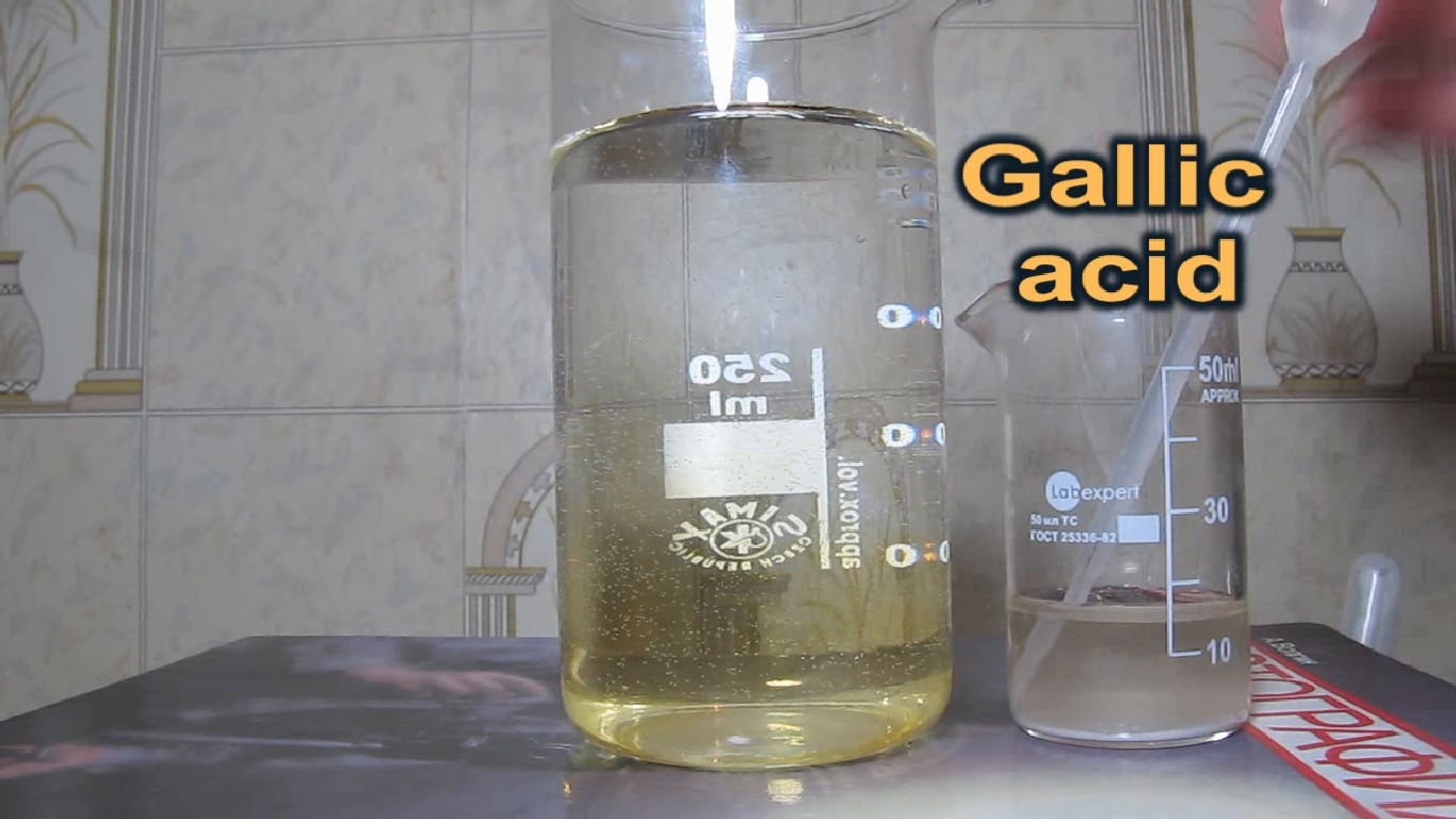 Галловая кислота и хлорид железа (III). Gallic acid and iron(III) chloride