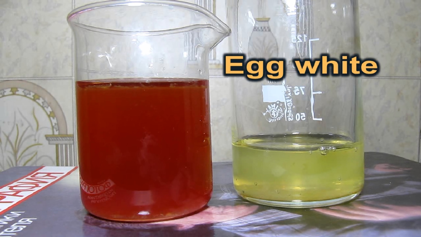 Танины и яичный белок. Tannins and egg white