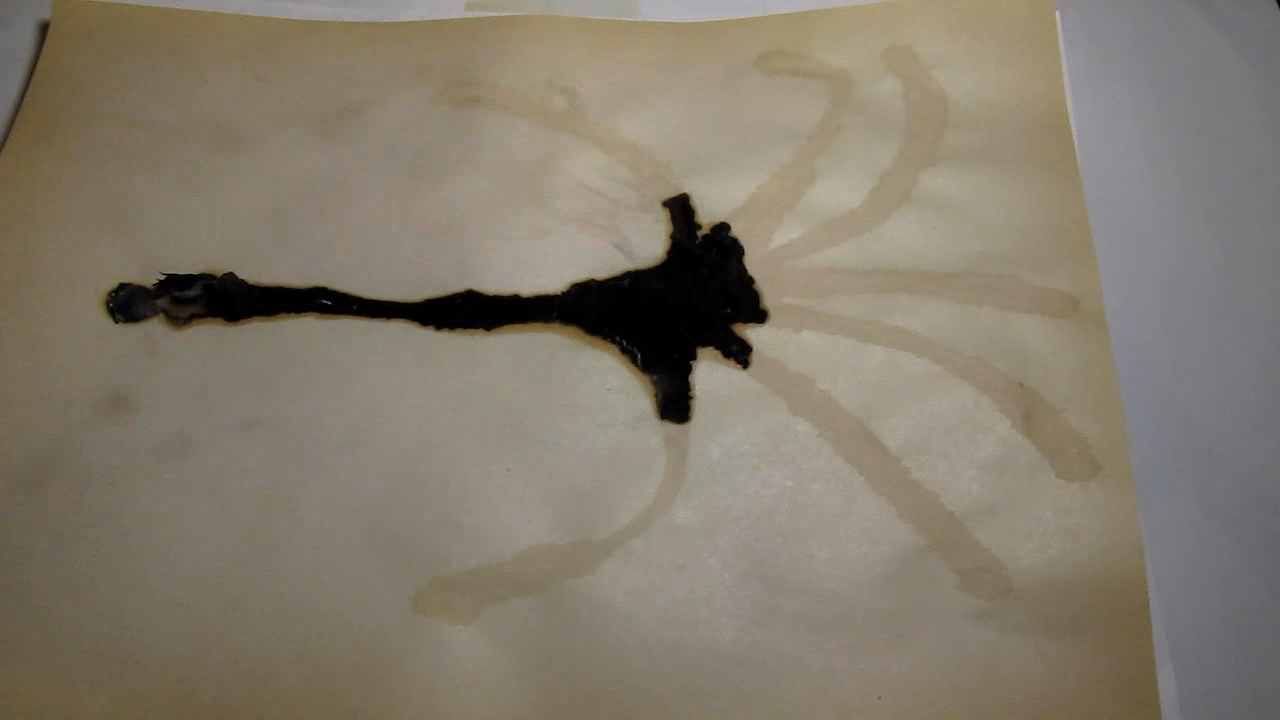 Fire draws on paper (potassium nitrate and paper).     (   )