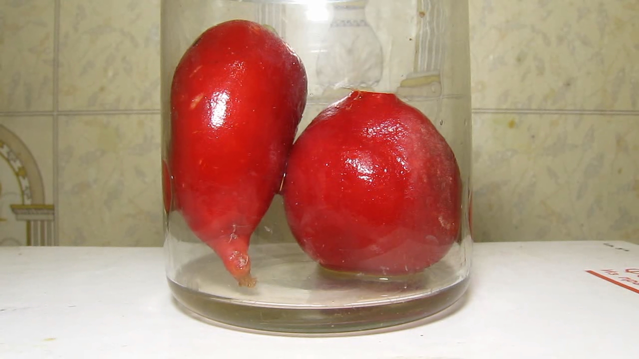 Radish (Raphanus sativus), ammonia and acetic acid