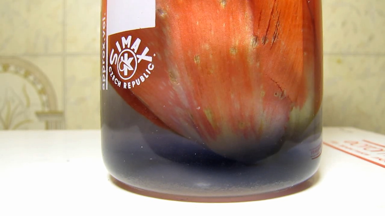 Red tulip, tap water, ammonia and hydrochloric acid