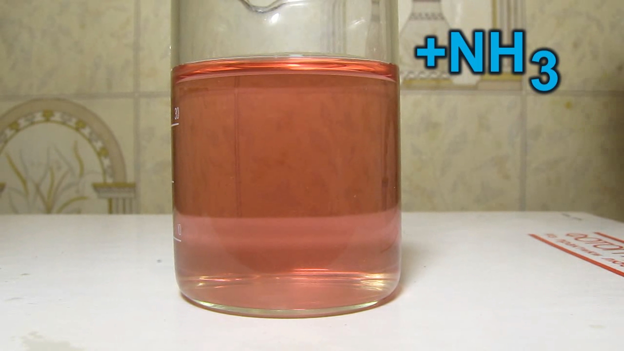 Red tulip, tap water, ammonia and hydrochloric acid