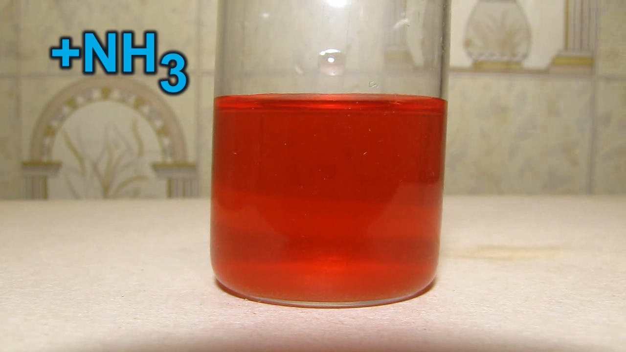 Red tulip, tap water, ammonia and hydrochloric acid