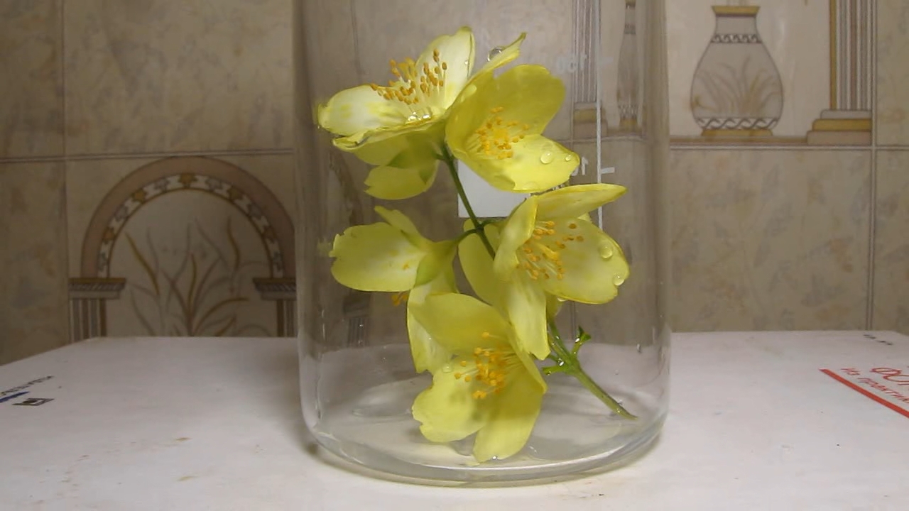 White flowers and ammonia solution