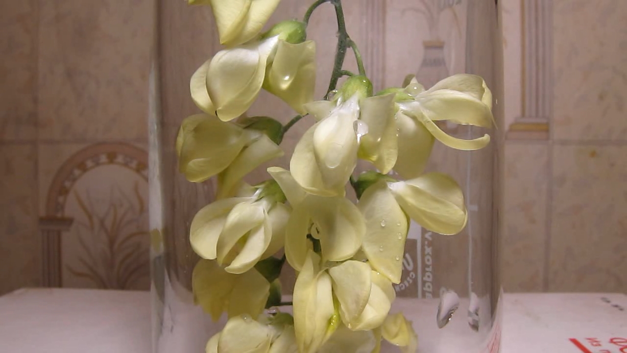 White flowers and ammonia solution