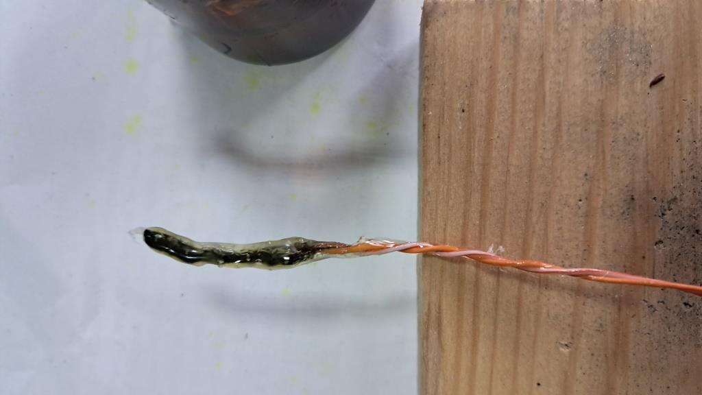Combustion of Nitrocellulose