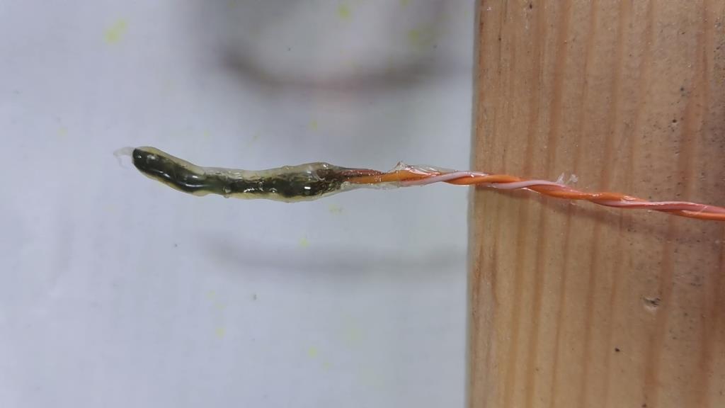 Combustion of Nitrocellulose
