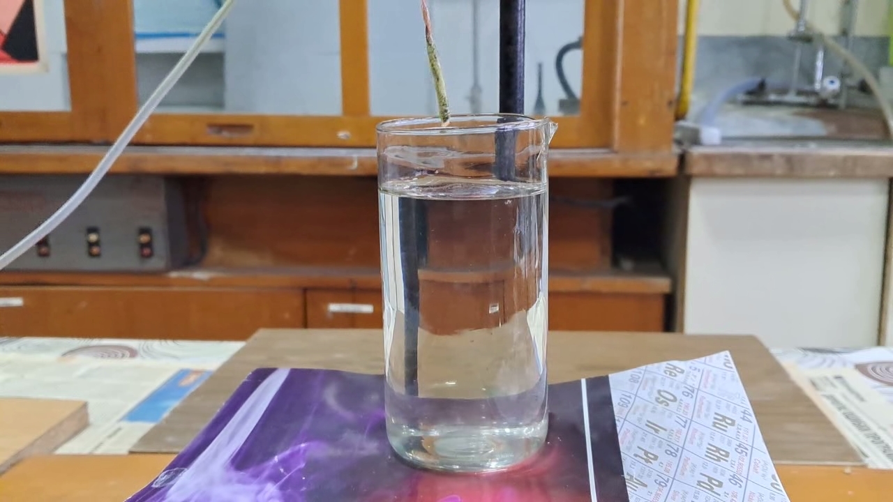 Combustion of Nitrocellulose