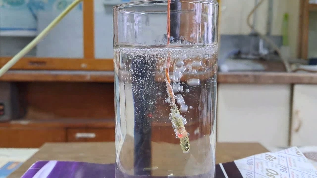 Combustion of Nitrocellulose