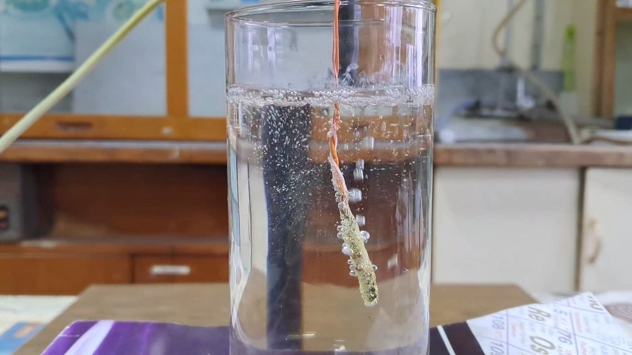 Combustion of Nitrocellulose