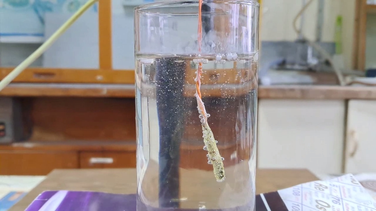 Combustion of Nitrocellulose
