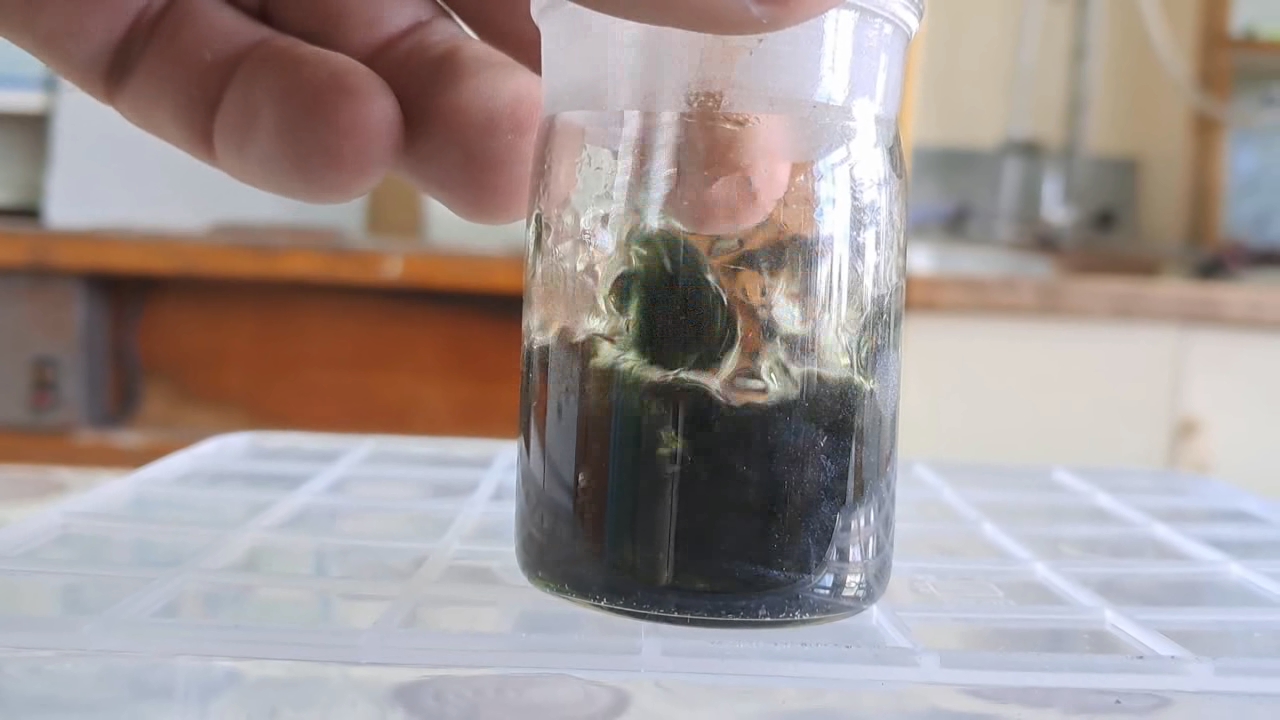 Dissolving Nitrocellulose in Low-Quality Acetone