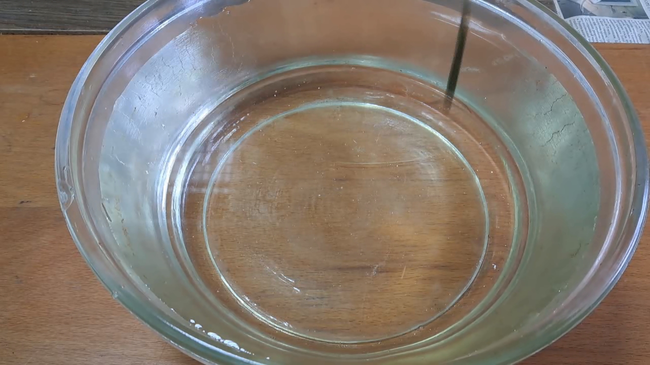 Dissolving Nitrocellulose in Ethyl Acetate: Nitrocellulose Amoeba (Second Experiment)