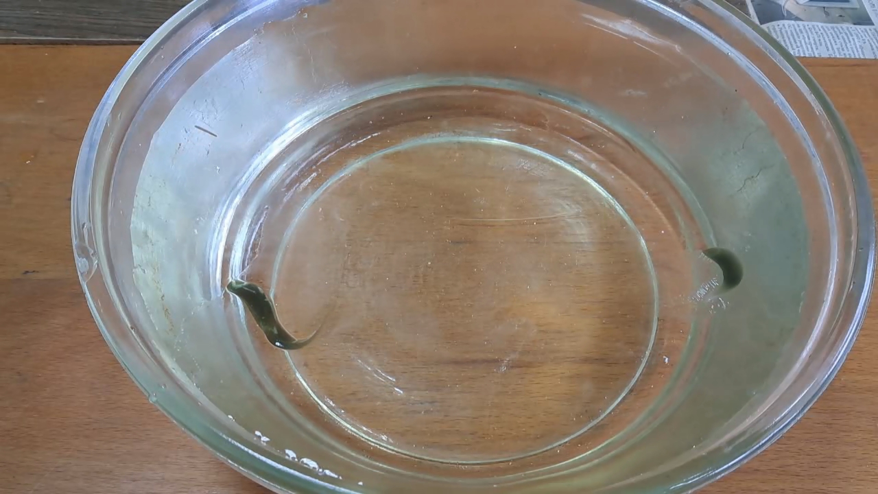 Dissolving Nitrocellulose in Ethyl Acetate: Nitrocellulose Amoeba (Second Experiment)
