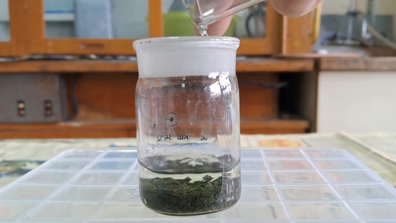 Dissolving Nitrocellulose in Ethyl Acetate: Nitrocellulose Amoeba (Second Experiment)