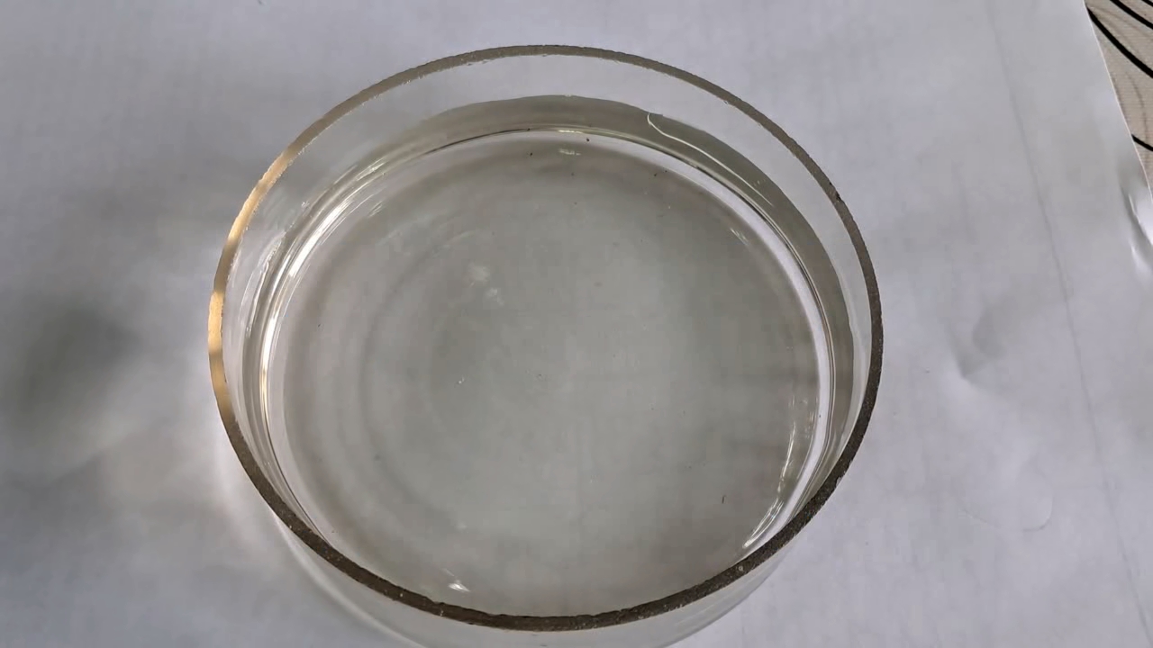 Nitrocellulose Amoeba (Trial Experiment)