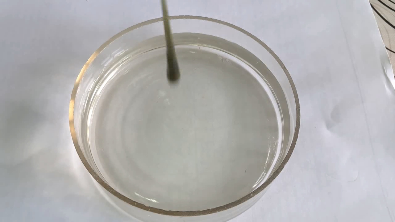 Nitrocellulose Amoeba (Trial Experiment)