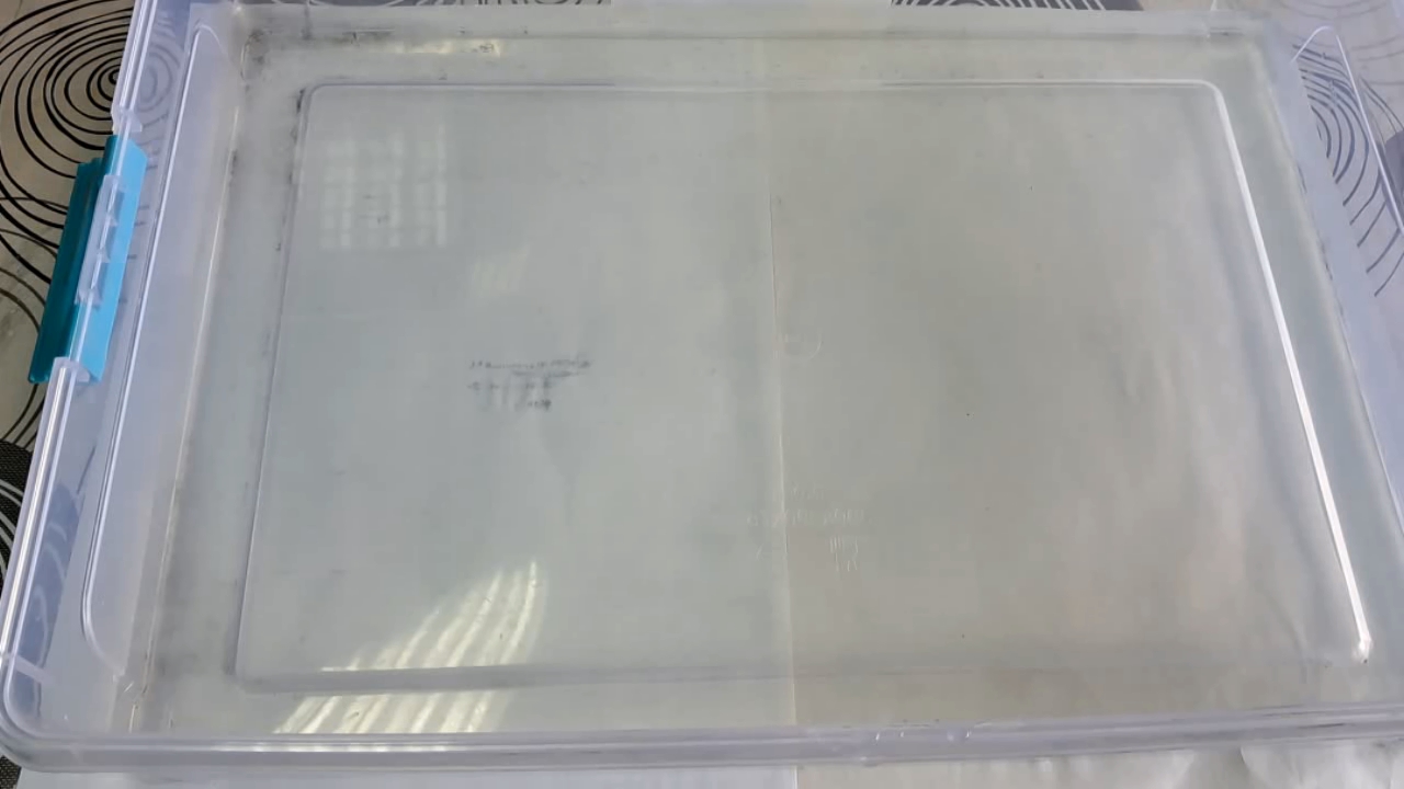 Nitrocellulose Amoeba (Trial Experiment)