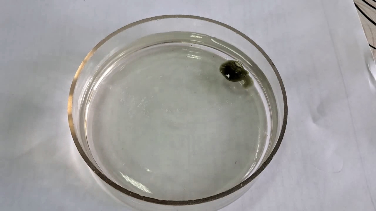 Nitrocellulose Amoeba (Trial Experiment)