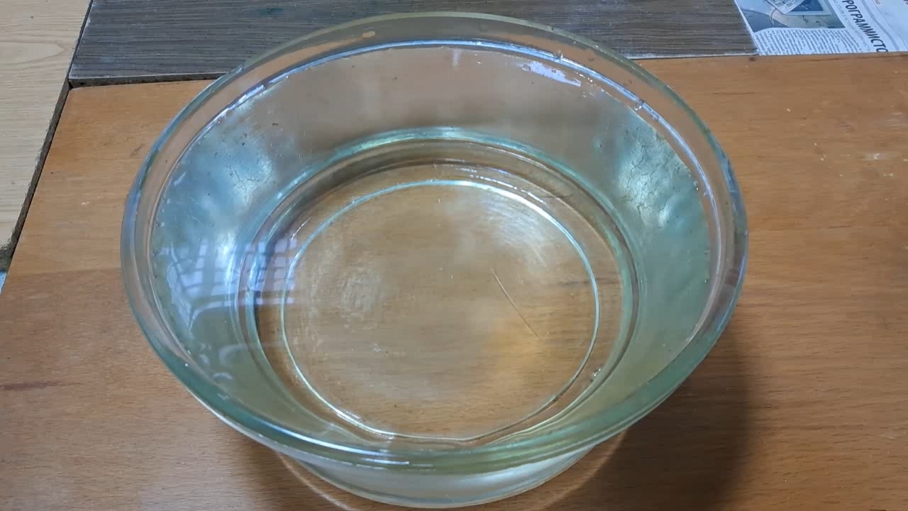 Nitrocellulose Amoeba (Successful Experiment)