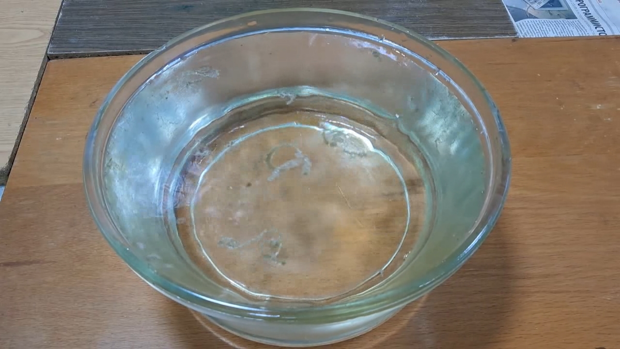 Nitrocellulose Amoeba (Successful Experiment)