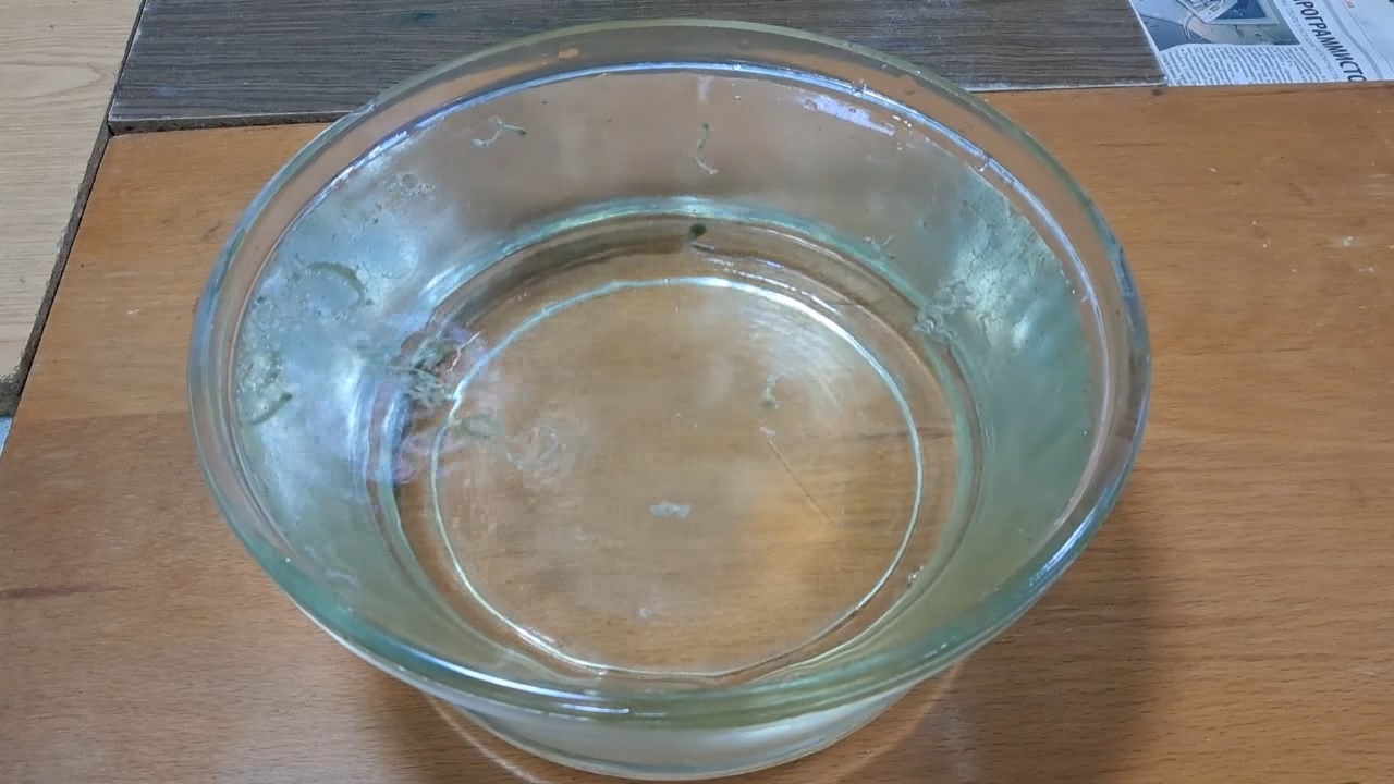 Nitrocellulose Amoeba (Successful Experiment)