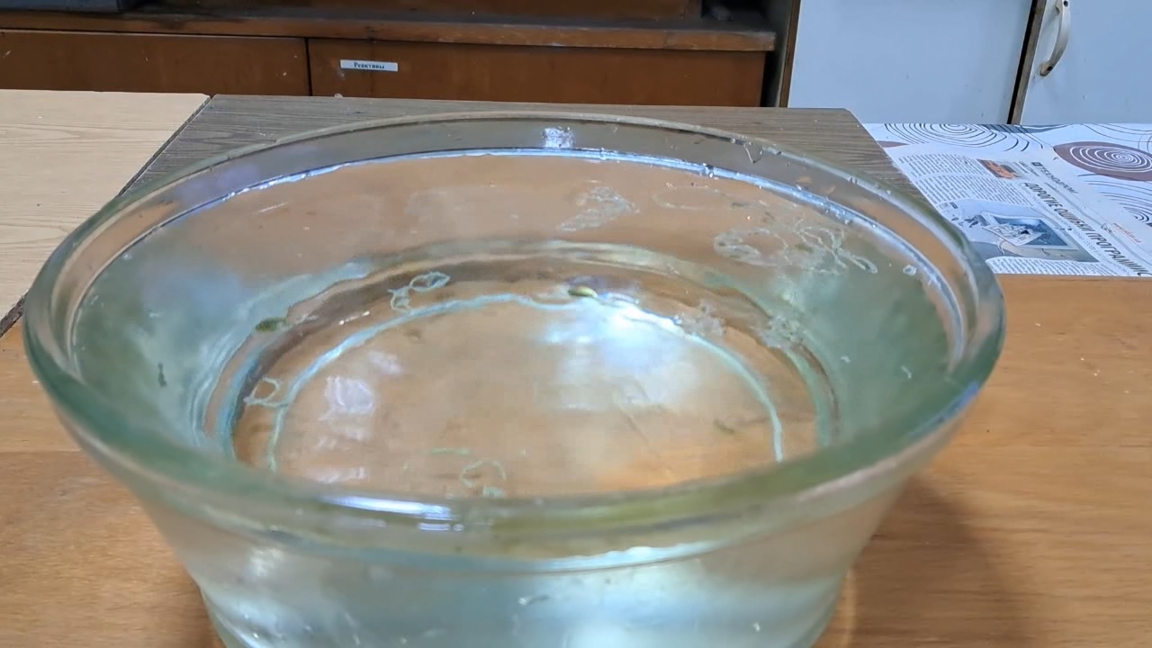 Nitrocellulose Amoeba (Successful Experiment)