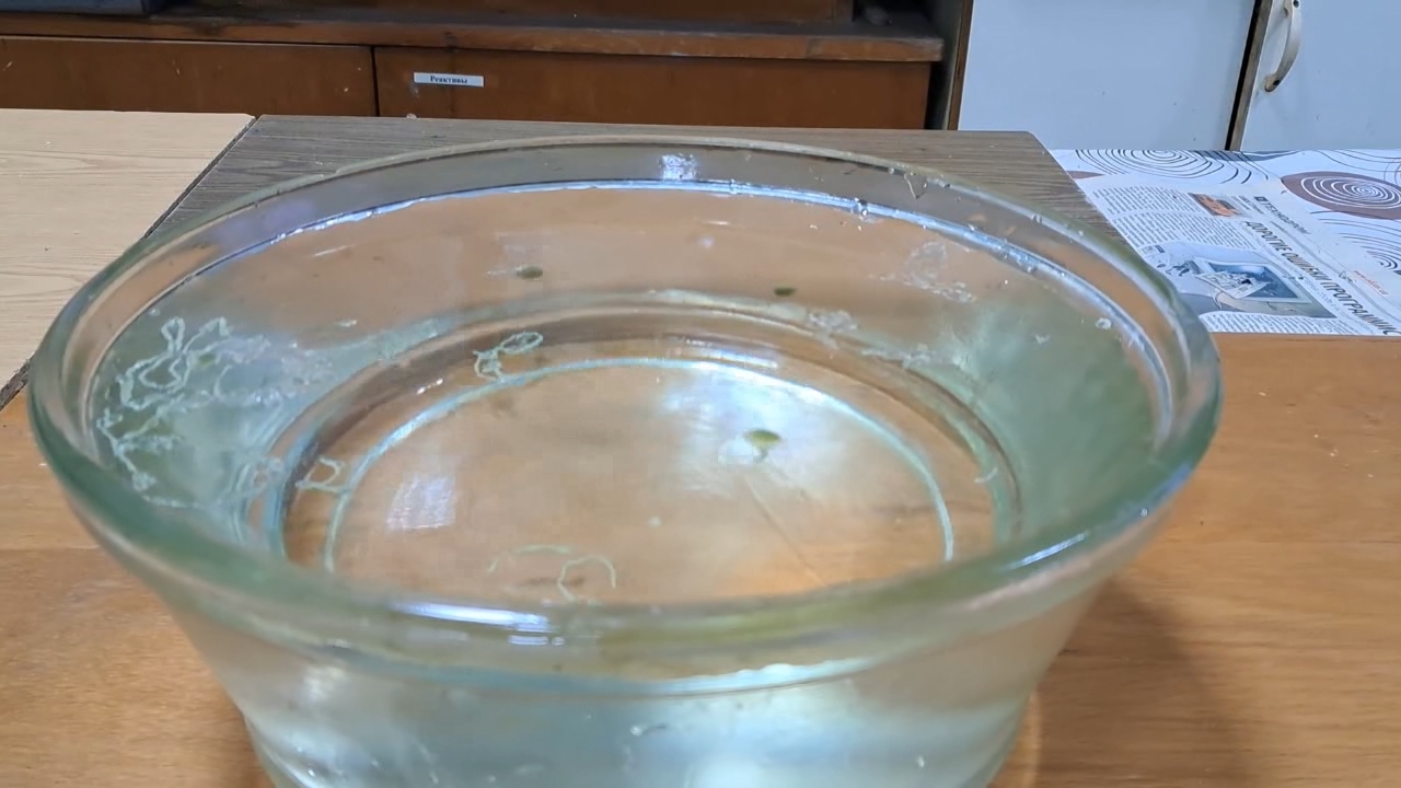 Nitrocellulose Amoeba (Successful Experiment)
