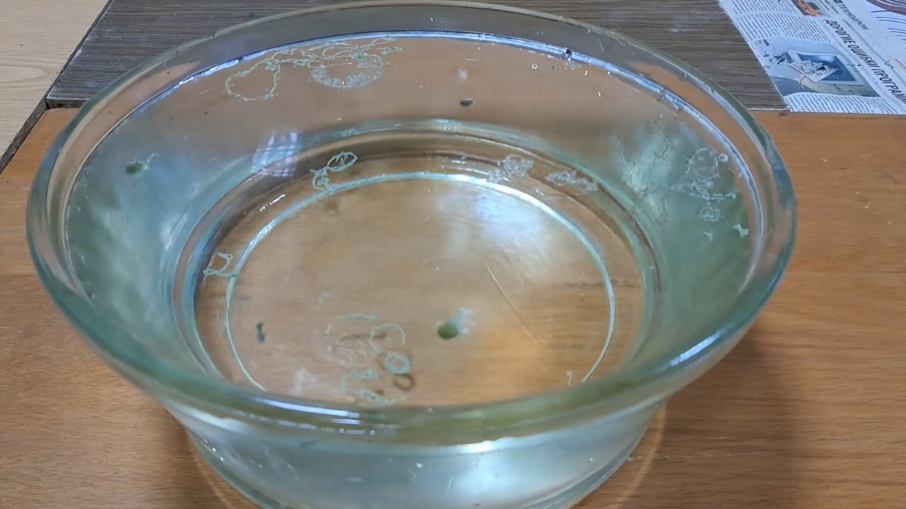 Nitrocellulose Amoeba (Successful Experiment)