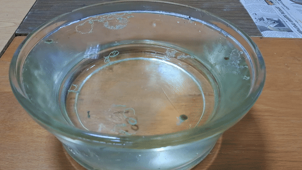 Nitrocellulose Amoeba (Successful Experiment)