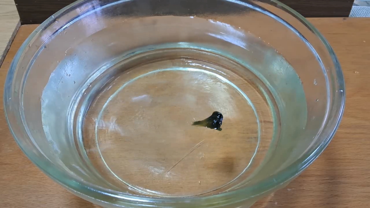Nitrocellulose Amoeba (Low-Quality Acetone)